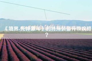 《境界-死神激斗》的特殊装备升级攻略？