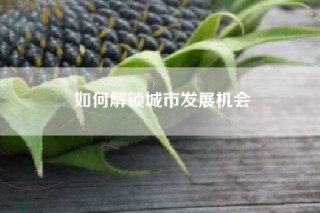 如何解锁城市发展机会