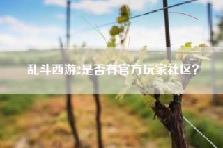 乱斗西游2是否有官方玩家社区？