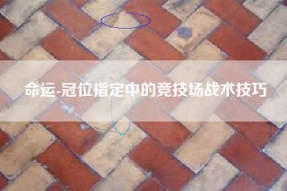 命运-冠位指定中的竞技场战术技巧