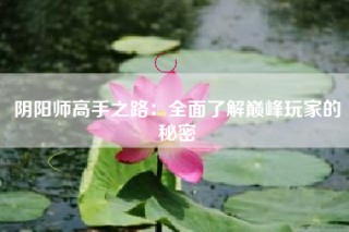 阴阳师高手之路：全面了解巅峰玩家的秘密