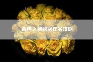奇迹之剑秘密任务攻略