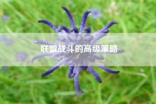 联盟战斗的高级策略