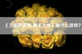 《三国群英传-霸王之业》是什么游戏？
