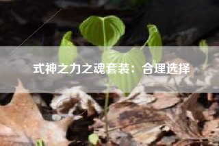 式神之力之魂套装：合理选择