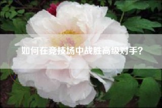 如何在竞技场中战胜高级对手？