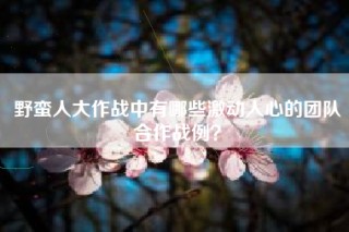 野蛮人大作战中有哪些激动人心的团队合作战例？