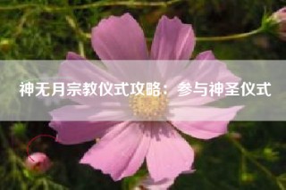 神无月宗教仪式攻略：参与神圣仪式