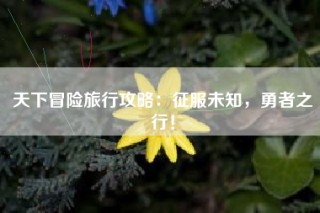天下冒险旅行攻略：征服未知，勇者之行！