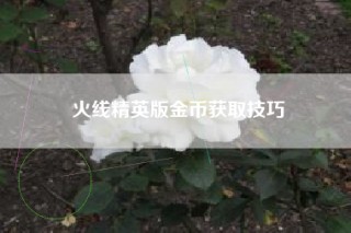火线精英版金币获取技巧