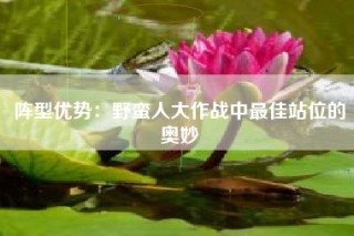 阵型优势：野蛮人大作战中最佳站位的奥妙