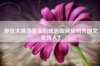 你在大清当皇帝的统治如何应对外国文化传入？