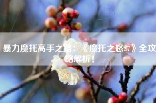 暴力魔托高手之路：《魔托之怒27》全攻略解析！