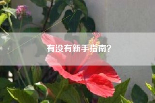 有没有新手指南？