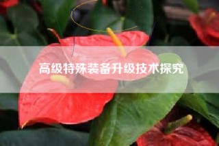 高级特殊装备升级技术探究