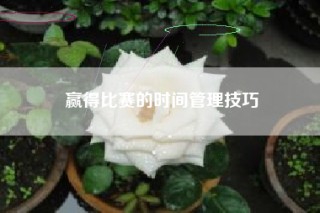 赢得比赛的时间管理技巧