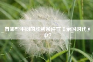 有哪些不同的胜利条件在《帝国时代》中？