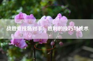 战胜竞技场对手：胜利的技巧与战术