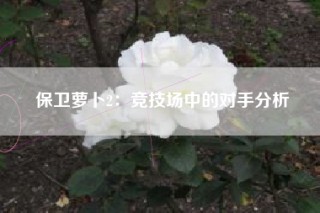 保卫萝卜2：竞技场中的对手分析