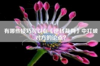 有哪些技巧可以在《逆转裁判》中打破对方的论点？