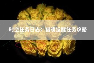 时空任务日志：猎魂觉醒任务攻略