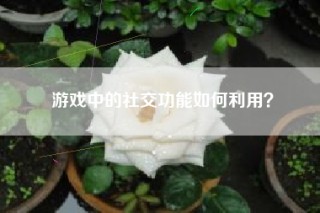 游戏中的社交功能如何利用？