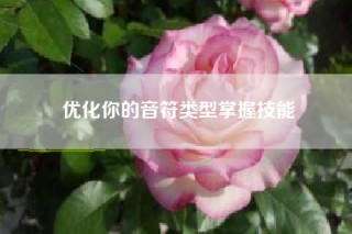 优化你的音符类型掌握技能