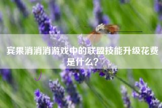 宾果消消消游戏中的联盟技能升级花费是什么？