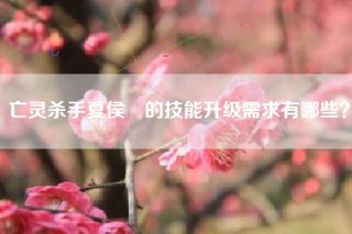 亡灵杀手夏侯惇的技能升级需求有哪些？