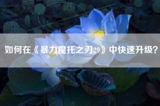 如何在《暴力魔托之刃29》中快速升级？