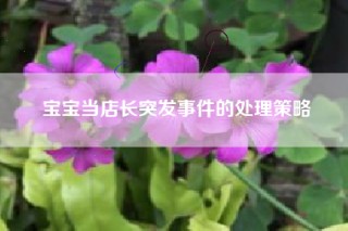 宝宝当店长突发事件的处理策略
