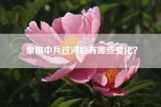 象棋中兵过河后有哪些变化？