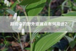 游戏中的野外资源点有何用途？