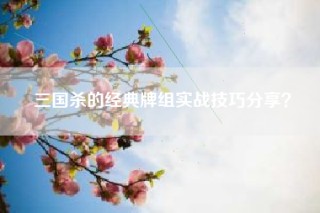 三国杀的经典牌组实战技巧分享？