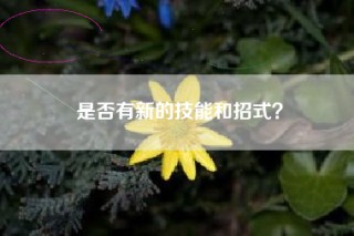 是否有新的技能和招式？