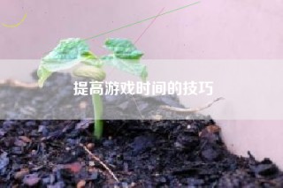 提高游戏时间的技巧
