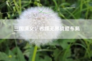 三国演义：吞噬无界战略布局