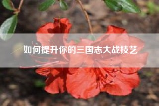 如何提升你的三国志大战技艺