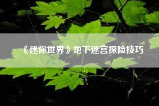 《迷你世界》地下迷宫探险技巧