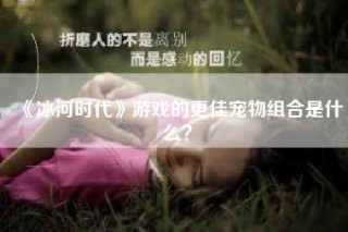 《冰河时代》游戏的更佳宠物组合是什么？