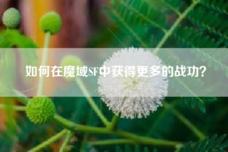 如何在魔域SF中获得更多的战功？