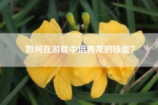 如何在游戏中培养龙的技能？