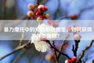 暴力魔托中的宠物系统图鉴，如何获得各类宠物？