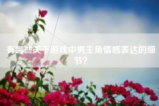 有哪些关于游戏中男主角情感表达的细节？
