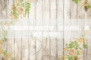 天下脚踏风筝滑翔攻略：如风翱翔，俯瞰大地美景！