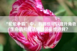 “蛇蛇争霸”中，有哪些可以提升角色生命值和魔法值的装备或道具？