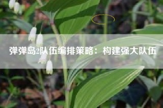 弹弹岛2队伍编排策略：构建强大队伍