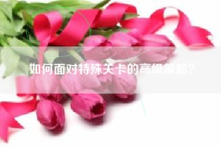如何面对特殊关卡的高级策略？