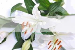 神王神途