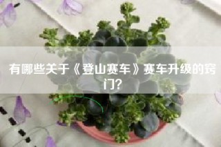 有哪些关于《登山赛车》赛车升级的窍门？